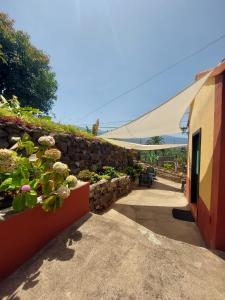 Zdjęcie z galerii obiektu FINCA LA PLANTACIÓN _Agroturismo w mieście La Orotava