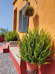 Ogród w obiekcie FINCA LA PLANTACIÓN _Agroturismo