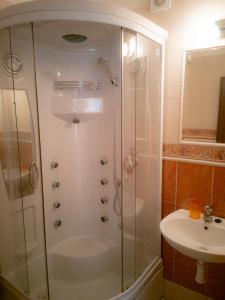 uma casa de banho com um chuveiro e um lavatório. em Moderný Apartmán v Podhájskej em Podhájska