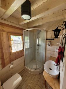 ein Bad mit einer Dusche und einem Waschbecken in der Unterkunft Osada Stasiowe Chaty in Stronie Śląskie