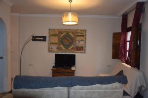 a living room with a couch and a tv at Centro de Granada in Granada