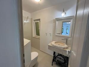Ένα μπάνιο στο CASA CIUC +23 φωτογραφίες