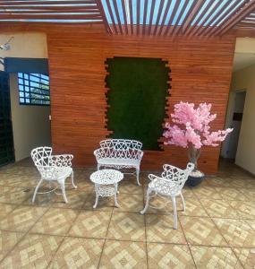 聖地亞哥洛斯卡巴的住宿－Acogedor apartamento，一组椅子和一张桌子,一个植物