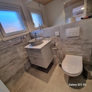 a bathroom with a white toilet and a sink at Mountain - Lake Apartment 3 in Wilderswil