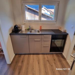 una pequeña cocina con fregadero y ventana en Mountain - Lake Apartment 3 en Wilderswil