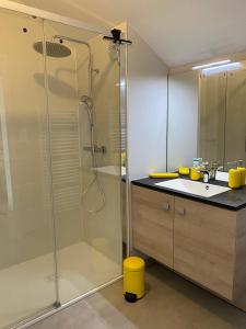 W łazience znajduje się prysznic i umywalka. w obiekcie Le duplex Saint-Corentin w mieście Quimper