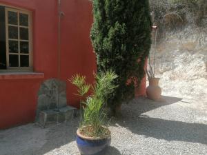 dos macetas sentadas frente a un edificio rojo en Hacienda chambre avec petit déjeuner inclus, en Patrimonio