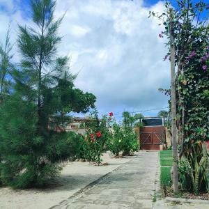Suítes De Ventto Em Popa - São Miguel do Gostso外面的花园