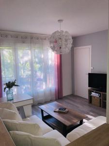 a living room with a couch and a chandelier at Appartement cosy in Dijon