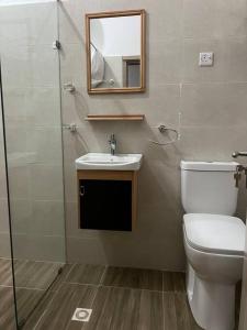 a bathroom with a toilet and a sink and a mirror at Luxury WellingManor Apartment in Accra