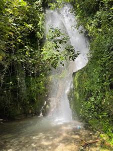 una cascada en medio de un bosque en Vila Florika Hotel, en Borsh