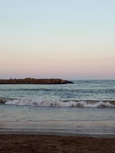 una spiaggia con onde e una roccia nell'oceano di Perla Mar a Santa Clara del Mar