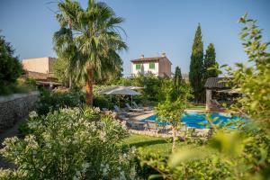 a villa with a swimming pool and palm trees at Can Moio Turismo de Interior in Montuiri