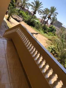 un escalier menant à un bâtiment avec des palmiers dans l'établissement شقة مصيفية بدمياط الجديدة قريبة من الشاطئ والخدمات, à Dumyāţ al Jadīdah