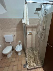 a bathroom with a toilet and a shower at CASA VACANZA PIEVE in Pisogne