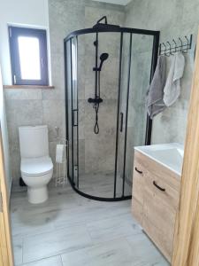 a bathroom with a shower with a toilet and a sink at Bocheniówka in Nowy Targ