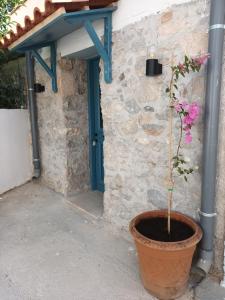 uma planta em um pote em frente a um edifício em Apartment Rustico em Ancient Epidavros