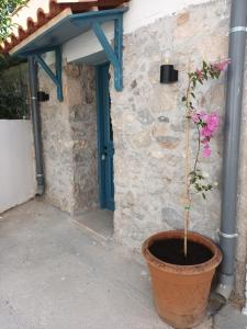 Fotografie z fotogalerie ubytování Apartment Rustico v destinaci Epidauros