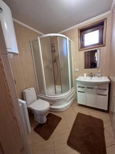 a bathroom with a shower and a toilet and a sink at Сієста in Svityazʼ