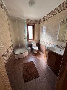 a bathroom with a shower and a toilet and a sink at Сієста in Svityazʼ