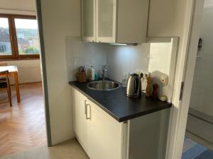 Kuchyň nebo kuchyňský kout v ubytování Apartment Garden + 11 fotografií