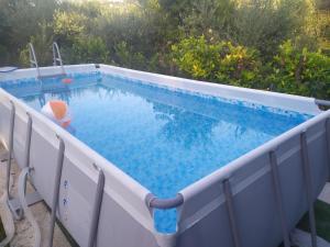 a large swimming pool with blue water at La casa sul farfa in Bocchignano