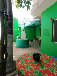 a green room with a red table with a tree at DiversHostalCozumel in Cozumel