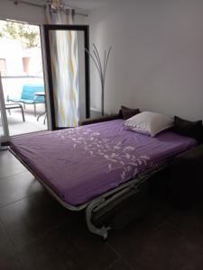 Gallery image of Lodge coeur nature T3 in Argelès-sur-Mer