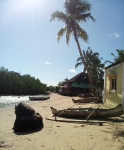 a beach with a house and a palm tree at L'OUSTAL DE NOSY BE in Nosy Be