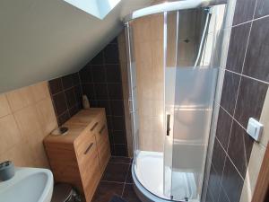 a small bathroom with a shower and a toilet at Apartamenty Wałowa 11 in Leszno +12 photos