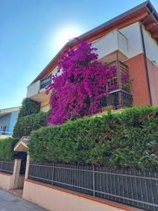 モンテジルヴァーノにあるB&B Carlottaの紫の花の建物