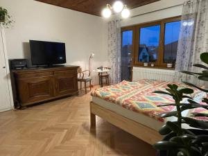 TV a/nebo společenská místnost v ubytování Apartment Garden