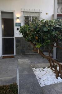 Fotografie z fotogalerie ubytování Calma Resort v destinaci Skála Foúrkas