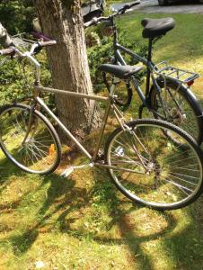 duas bicicletas estacionadas ao lado de uma árvore na relva em Glamping on the Green River em Washago