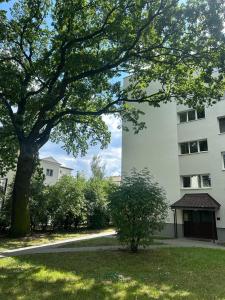 un grande albero di fronte a un edificio di Charming Apartament a Płock
