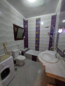 y baño con aseo, lavabo y lavadora. en شقق سكنيه للايجار en El Cairo