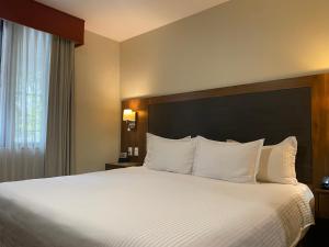 um quarto de hotel com uma cama grande com almofadas brancas em Wyndham Garden Mexico Reforma em Cidade do México