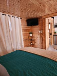 a bedroom with a bed and a television in a room at Country Creek Cabin in Bromfleet