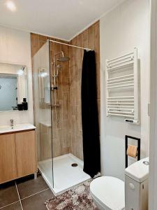 a bathroom with a shower with a toilet and a sink at Bel appartement sur Dunkerque in Dunkerque