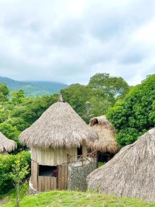 un gruppo di capanne con tetti e alberi in erba di ECOCABAÑAS DIOSA JAGUAR tayrona a Santa Marta