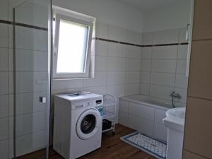 a bathroom with a washing machine and a sink at Appartement Lindenheim in Sankt Kanzian