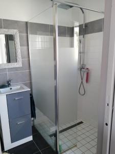 a bathroom with a shower and a sink at Appartement 2-3 personnes sur la côte d'Emeraude in Saint-Cast-le-Guildo