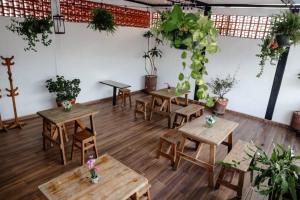 a room with wooden tables and potted plants at Casa Vainilla 3 in Oaxaca City