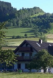 uma casa num campo com uma colina ao fundo em Agroturystyka "U Kasi" em Ścinawka Górna