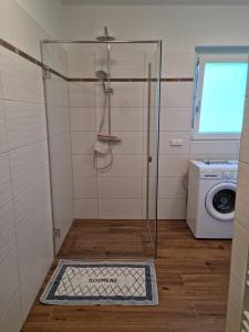 Koupelna v ubytování Appartement Lindenheim + 8 fotografií