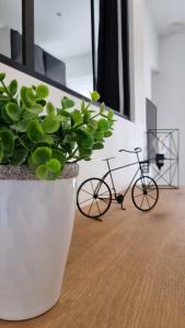 Gallery image of Le P'tit Atelier, Terrasse privative in Lorient