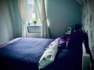 a blue bed in a bedroom with a window at The Grange in Admaston