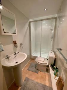 a bathroom with a sink and a toilet and a shower at Comfy 2 Bedroom Flat near Edinburgh City Center in Edinburgh