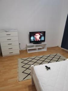 a living room with a tv and a spider on the floor at Gueshouse DaIris in Mostar
