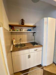 a small kitchen with a sink and a refrigerator at Viktor Rooms in Kotor
